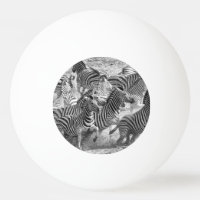 Zebras running