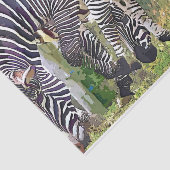 ZEBRAS SEIDENPAPIER (Ausschnitt)