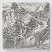 Zebras Steinuntersetzer (Vorderseite)