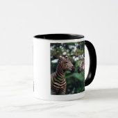 Zebras Tasse (VorderseiteRechts)