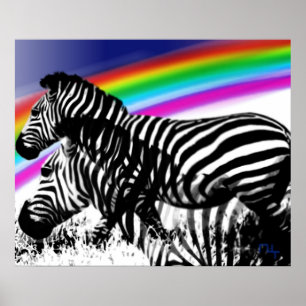 Zebras Traum von Regenbogenhaut Poster