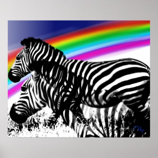 Zebras Traum von Regenbogenhaut Poster (Vorne)