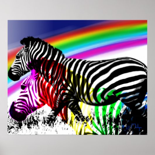 Zebras Traum wird wahr Poster (Vorne)