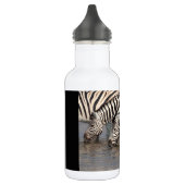 Zebras trinken edelstahlflasche (Links)