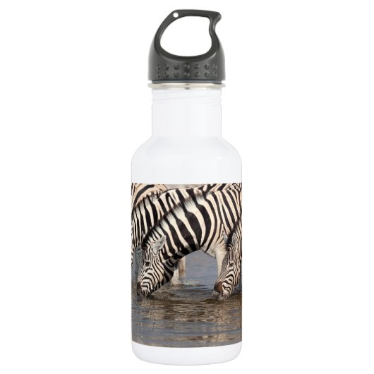 Zebras trinken edelstahlflasche (Vorderseite)