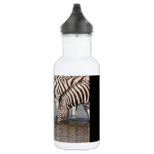 Zebras trinken edelstahlflasche (Rechts)