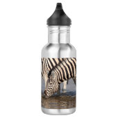 Zebras trinken edelstahlflasche (Rechts)