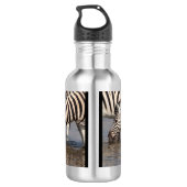 Zebras trinken edelstahlflasche (Rückseite)