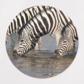 Zebras trinken etiketten (Design 1)