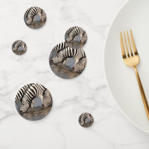 Zebras trinken konfetti