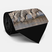 Zebras trinken krawatte (Gerollt)