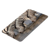 Zebras trinken magnet (Linke Seite)