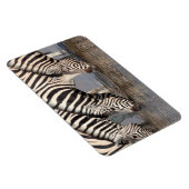 Zebras trinken magnet (Rechte Seite)