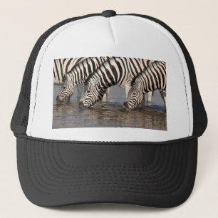Zebras trinken truckerkappe
