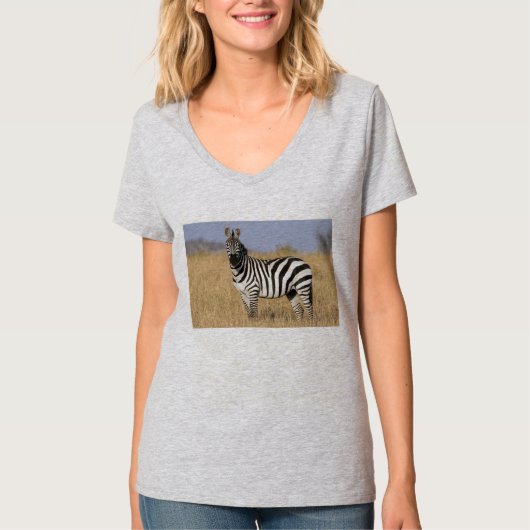 Zebras-und Pferdegedicht-T-Shirt T-Shirt (Vorderseite)