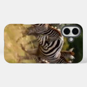 Zebras unterwegs: Eine Reise durch Tausende von Me Case-Mate iPhone Hülle (Rückseite (Horizontal))