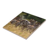 Zebras unterwegs: Eine Reise durch Tausende von Me Fliese (Seite)