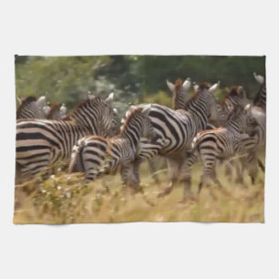 Zebras unterwegs: Eine Reise durch Tausende von Me Geschirrtuch