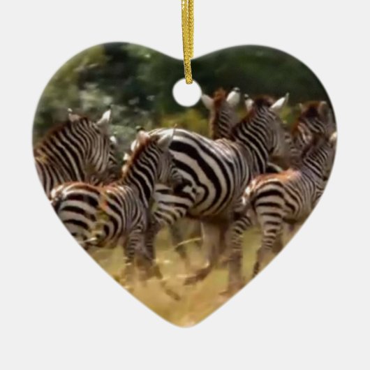 Zebras unterwegs: Eine Reise durch Tausende von Me Keramik Ornament (Vorne)