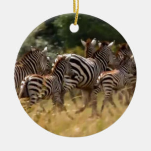 Zebras unterwegs: Eine Reise durch Tausende von Me Keramikornament