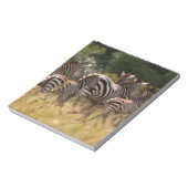 Zebras unterwegs: Eine Reise durch Tausende von Me Notizblock (Rotiert)