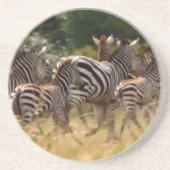 Zebras unterwegs: Eine Reise durch Tausende von Me Untersetzer (Vorne)