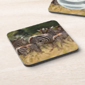 Zebras unterwegs: Eine Reise durch Tausende von Me Untersetzer (Linke Seite)