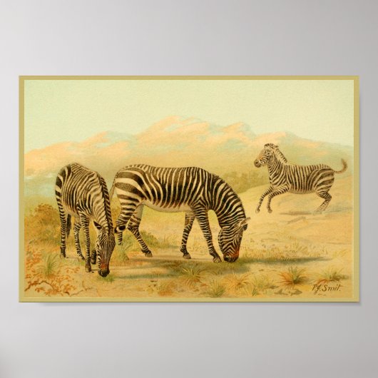 Zebras Vintage Tierkunst Print African Plains Poster (Vorne)