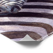 Zebras von Donna Crawshaw Poster (Ecke)