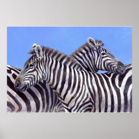Zebras von Donna Crawshaw Poster (Vorne)