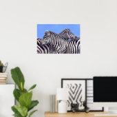 Zebras von Donna Crawshaw Poster (Heimbüro)