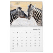 Zebras Wall Calendar Kalender (Jan 2027)