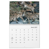 Zebras Wall Calendar Kalender (Mär 2027)