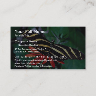 Zebraschmetterling auf mexikanischer lodernder visitenkarte