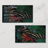 Zebraschmetterling auf mexikanischer lodernder visitenkarte (Vorne/Hinten)