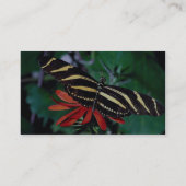 Zebraschmetterling auf mexikanischer lodernder visitenkarte (Rückseite)