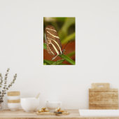 Zebraschmetterling Poster (Küche)