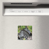 Zebraschnecke Magnet (In Situ (Geschirrspüler))