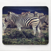 Zebrasdazze Mousepad (Vorne)