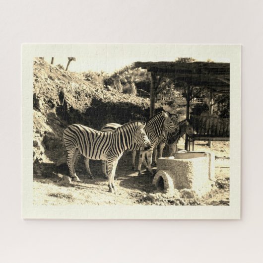 Zebrasgruppe Puzzle (Horizontal)