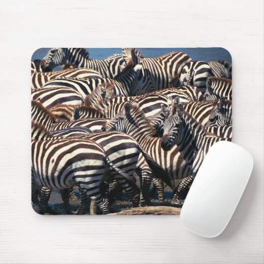 Zebrasherde Mousepad (Mit Mouse)
