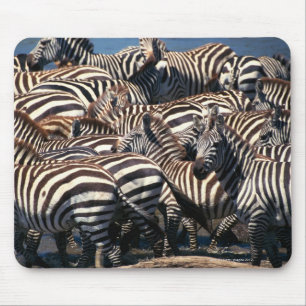 Zebrasherde Mousepad