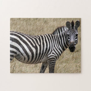 Zebrastarre Puzzle