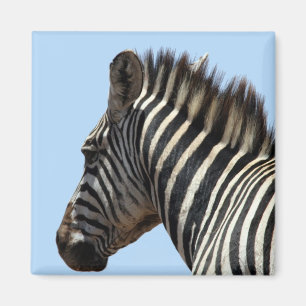 Zebrastreifen Magnet