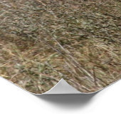 Zebrastreifen Poster (Ecke)