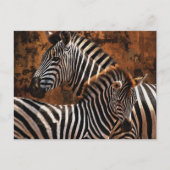 Zebrastreifen Postkarte (Vorderseite)