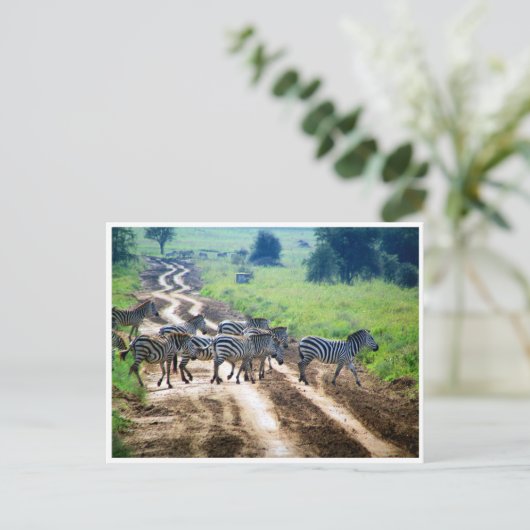 Zebrastreifen Postkarte (Stehend Vorderseite)