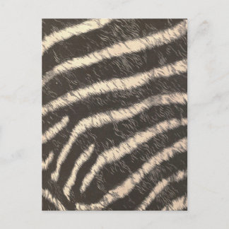 Zebrastreifen Postkarte