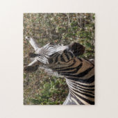 Zebrastreifen Puzzle (Vertikal)