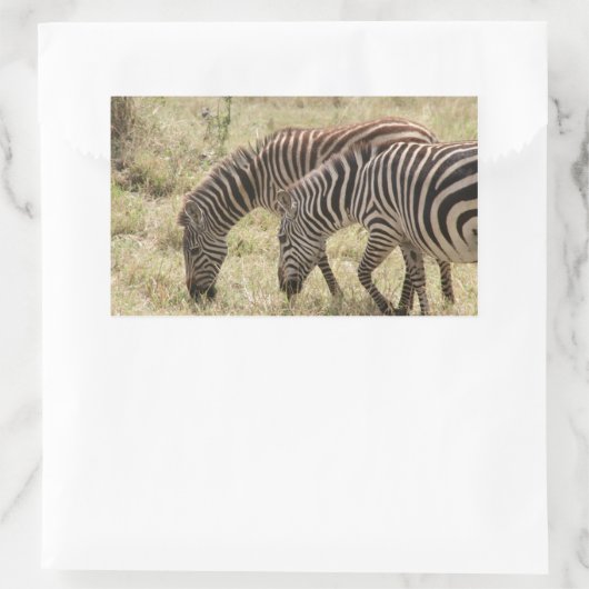 Zebrasweide Rechteckiger Aufkleber (Tasche)